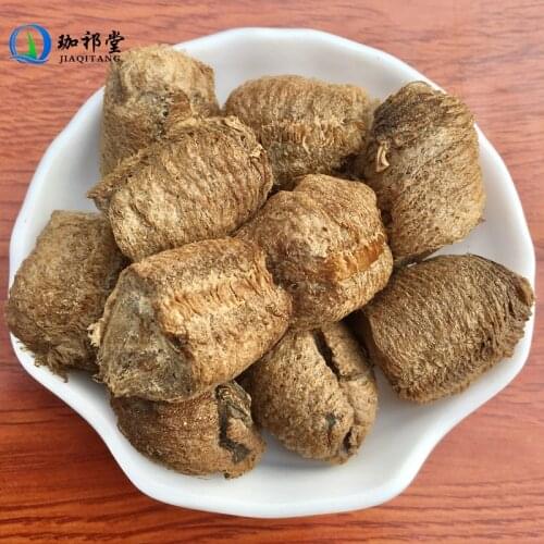 Mantis Eggcase Ovum of Mantis Tenodera Sinensis Sang Piao Xiao