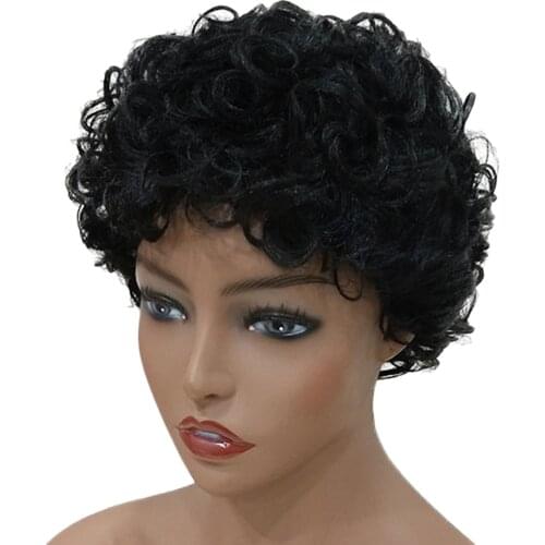 Afro Wig,Short Curly Black Wigs for Women, Cosplay Wig,Kinky Curly Wigs For Black Women