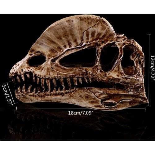 Dilophosaurus Dinosaur Skull Resin Crafts Fossil Skeleton Teaching Model Halloween Home Office Decoration