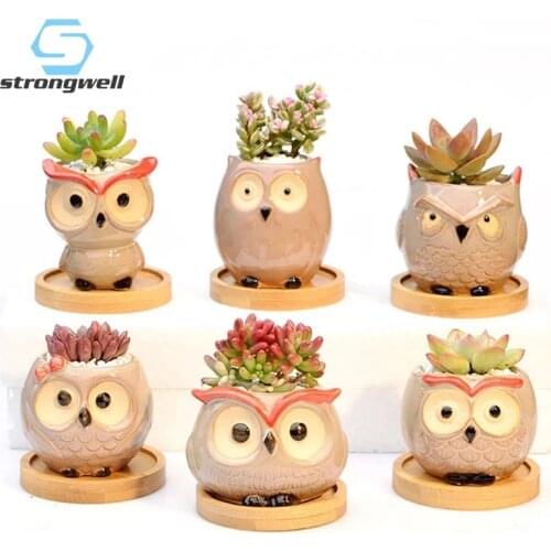 Strongwell Lovely Owl Miniature Model Flowerpots Succulent Flower Pot Planter Desktop Decorations Fairy Garden Decoration Crafts