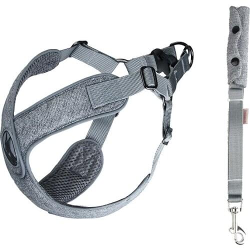 Reflective Fashion Pet Dog Leash Harness Set Breathable Puppy Dog Sets for Small Dogs Yorkies Chihuahua Maltese Harnesses Leads