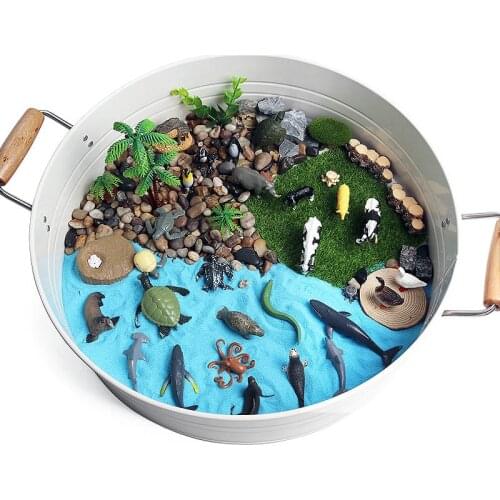 Simulation Sea Life World Turtle Tortoise Frog Growth Cycle Ocean Animals Model Figurines Action Figures Miniature Education Toy