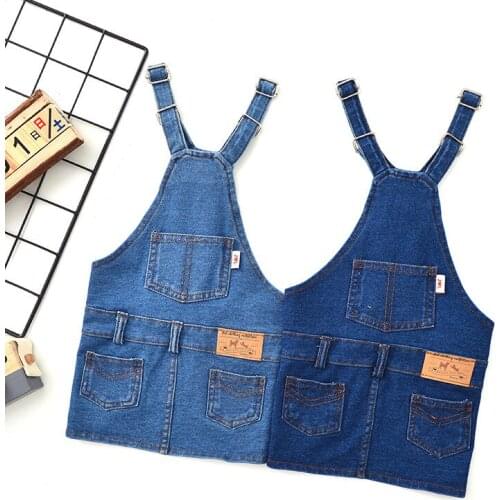 Spring and Summer New Dog Denim Vest Skirt Two-color Optional Dog Jean Jumpsuit Pet Puppy Clothes Dresses for Dog