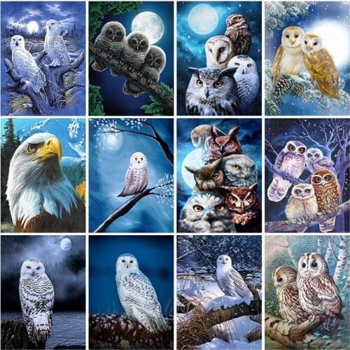 5D DIY Diamond Painting Owl Full Square Rhinestone Diamond Embroidery Art Picture Cross Stitch Kit Mosaic Home Decoration