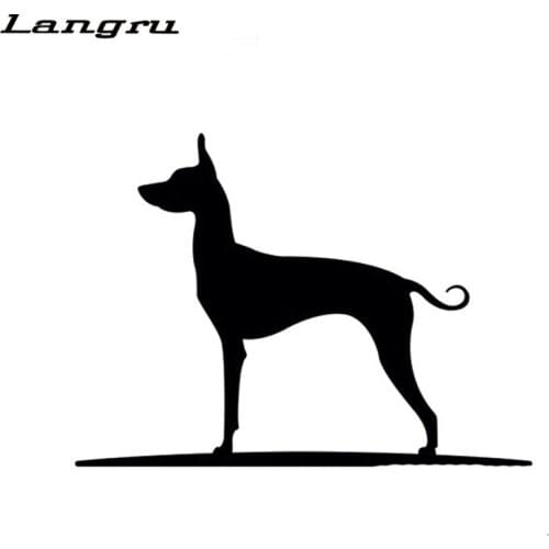 Langru 16.8CM*12CM Mexican Hairless Dog Vinyl Car Window Sticker Car Accessories Jdm
