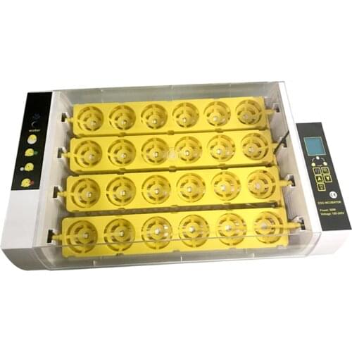 Household Auto Egg Incubator Auto Temperature Control Automatic Turkey Eggs Egg Hatcher Hatching Machine with Clear Lid