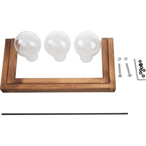 Plant Terrarium with Wooden Stand Glass Vase Holder for Home Decoration,Scindapsus Container (3 Terrariums)