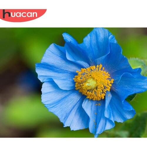 HUACAN Diamond Embroidery Mosaic Floral 5d Diy Diamond Painting Poppy Flower Cross Stitch Home Decor