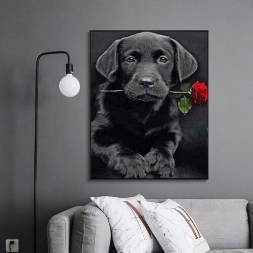 Full Square/Round 5D DIY Diamond Painting Black dog rose Mosaic picture of Rhinestones Diamond embroidery home decoration FG1695