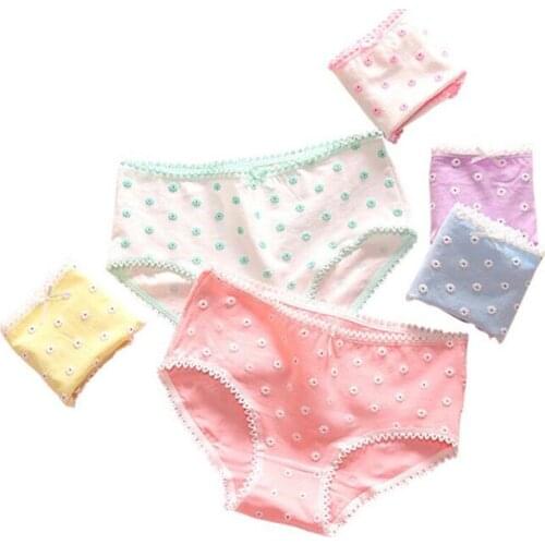 4Pcs/lot Panties Women Underwear Briefs Breathable Underpants Girls Soft Panty waist size girls briefs T010-4