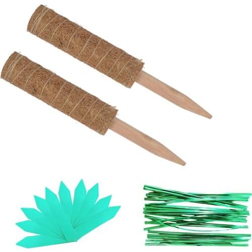 50cm/40cm/30cm /set Plant Climbing Coconut Totem Rod Connectable Garden Support Stick Plant Flower Holders