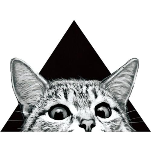 NEW Cats Sticker On Kids Clothes, Diy Iron On T-Shirt Patches, A-Level Custom Washable Patches, Denim Patches