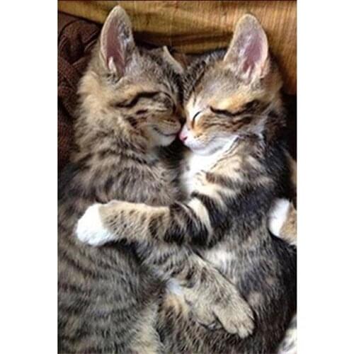 5d Diy Diamond Painting Set Animal Cute Cats Cross Stitch Kit Full Square Round Rhinestone Embroidery Mosaic Home Decor