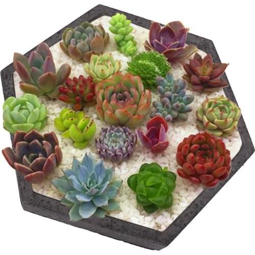 Hexagon Diamond Shaped Silicone Cement Mould Flowerpot Concrete Planter Mould Plants Pot Home Gardening Decoration