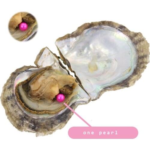 10pcs AAA Grade Pink Akoya Pearls in Oysters Vacuum-packing Bright Colorful 7-8MM Round Beads for Jewelry Akoya Oysters GifFP234