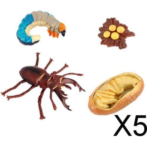 5x Animal Life Cycle Classroom Teaching Aids Ages 5+ Insect