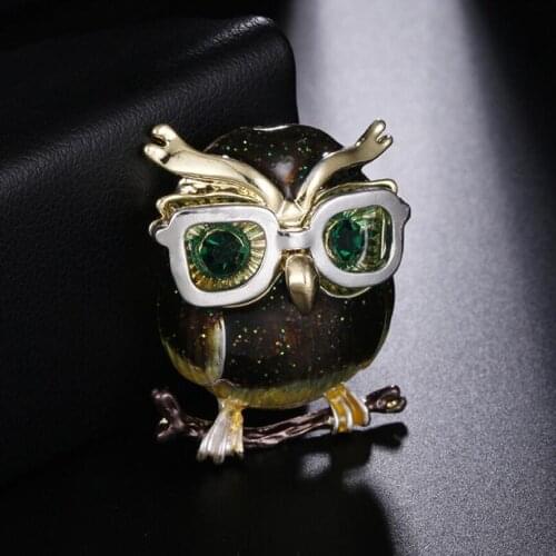 High Quality Enamel Alloy Owl With Glasses Brooch Pins Fashion Party Wedding Costume Accessories for Women Men Gift Broche XZ398