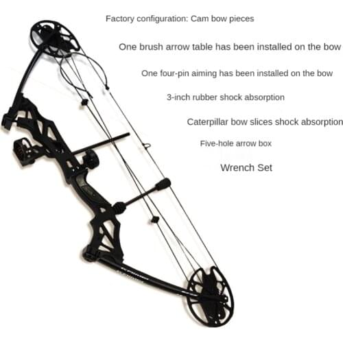 Beginner Bow And Arrow 30-70 Pounds Outdoor Archery Equipment Arrow Accessories Outdoor Composite Pulley Bow And Arrow