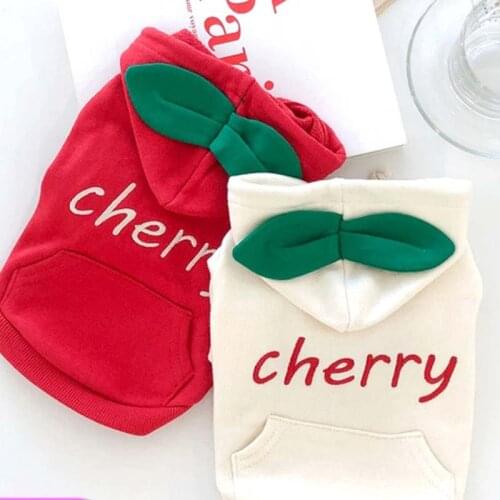 Autumn and winter clothes dog sweater Teddy cat VIP Bichon pet Pomeranian small puppies winter two-legged clothes