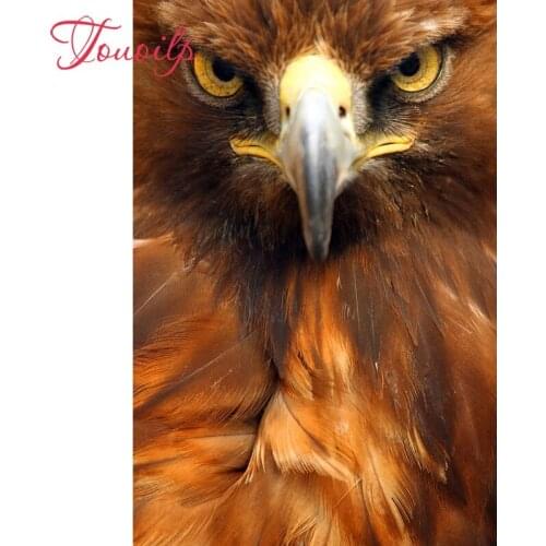 Touoilp Animal owl eagle 5d diamond embroidery stitch crystal square&round diamond sets decorative 5d diamond painting mountain