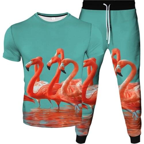 Men Women Harajuku Galaxy Clothes Suits Animal Flamingo 3D Print Tracksuit T-Shirt+Trousers 2pc Sets Male Female Plus Size S-6XL