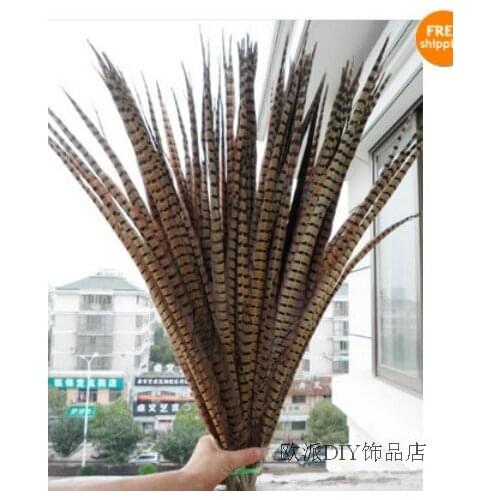 Free shipping 100 PCS long Natural color pheasant tail feathers 22-24inches/55-60cm