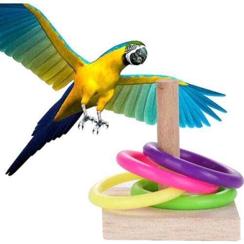 Wooden Platform Plastic Ring Birds Toys Intelligence Development Chew Puzzle Toy Pet Bird Supplies for Parrots Small Birds