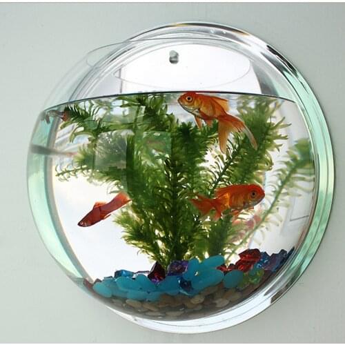 New Pot Plant Wall Mounted Newest Hanging Decor Bubble Bowl Flowers Fish Tank Home Decor Aquarium Home Decoration Accessories