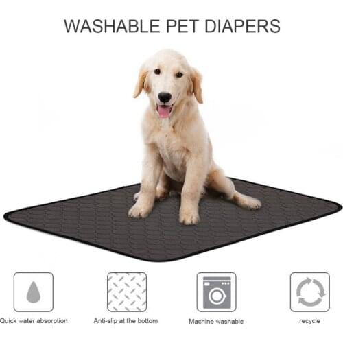 Cat and Dog Mat Fast Absorbent Waterproof Non-slip Comfortable Pet Products