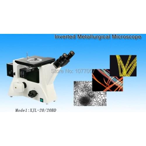 Hot Sale Made in China 100X-1000X Binocular Bright Field Inverted Metallurgical Microscope MM-XJL-20