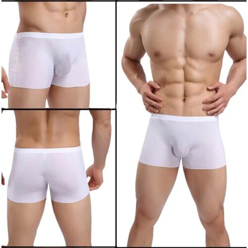 Mens Boxer Shorts Seamless Underwear Boxers Sexy Transparent Ultra-thin Ice Silk Male Panties Size Men Shorts 2021