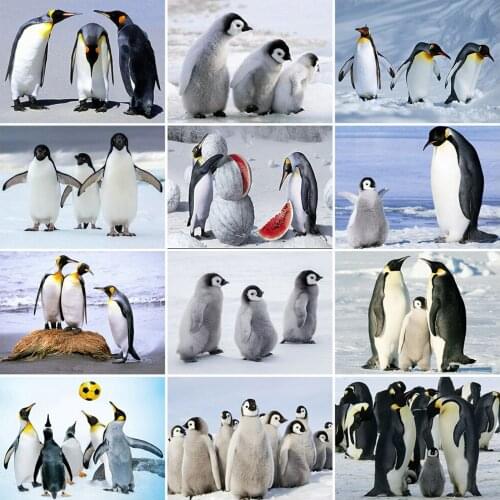 Evershine Full Square Round Diamond Embroidery Penguin Diamond Painting Animal Cross Stitch Picture Of Rhinestone Home Decor