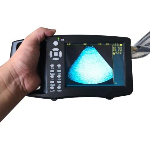 Portable Pig Ultrasound Veterinary Animal Pregnancy Test Instrument Color B Mode Ultrasonography Ultrasonic Detector