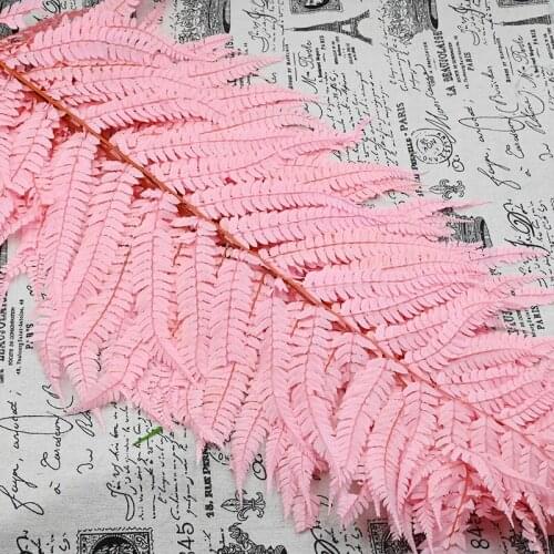 10PCS Dried Natural Plant Fresh Preserved Flowers Eternal Forever Fern Leaf Home Decoration Wedding Party Decoration