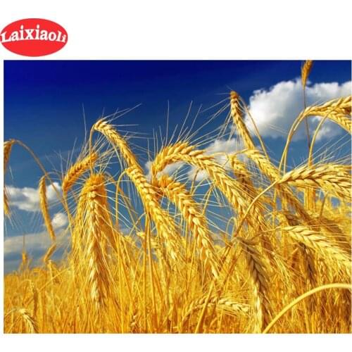 5D DIY Diamond Painting gold wheat painting cross stitch full square/round diamond mosaic embroidery decoration laixiaoli