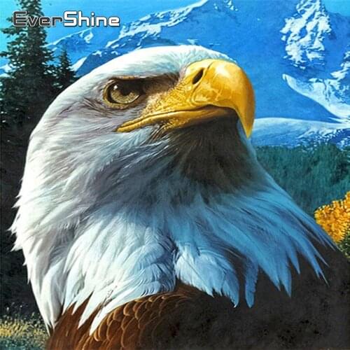 EverShine 5D Diamond Embroidery Animals Full Drill Square Diamond Mosaic Eagle Crystal Painting Rhinestones Christmas Decoration