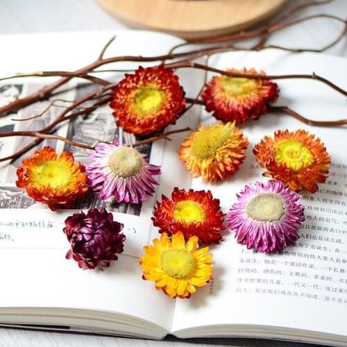 30PCS 50PCS Dry Straw Chrysanthemum Heads Decorative Daisy Dried Natural Sunflower DIY Decor For Home Wedding Party
