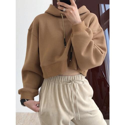Warm Thin Velvet Autumn Winter Short Hoodies Women Streetwear Sexy Cropped Hooded Sweatshirts Hip Hop Girls Crop Tops