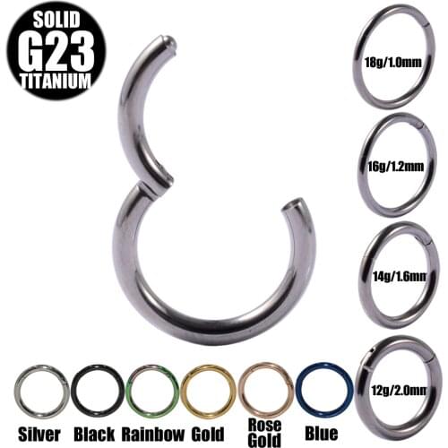 2Pcs G23 Titanium Hinged Segment Nose Ring18g&16g&14g&12g Nipple Clicker Ear Cartilage Tragus Helix Lip Piercing Unisex Jewelry