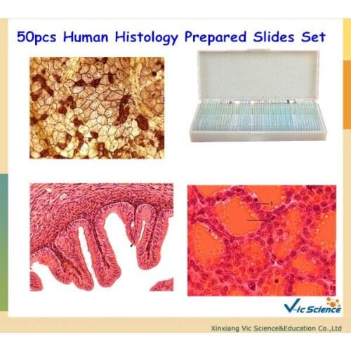 50pcs Human Histology Prepared Slides Set
