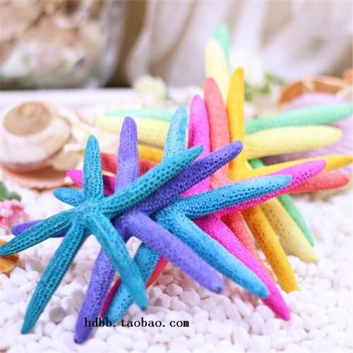 Wholesale inch 5-7 natural Starfish shells home decoration Marine style wedding steamed Finger starfish 13-18cm toe props wall
