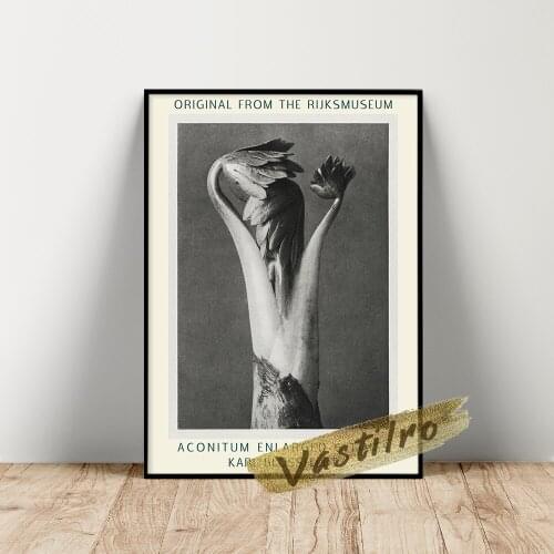 Karl Blossfeldt Poster, Urformen Der Kunst Book Illustration, Aconitum (Aconite Or MonkS Hood) Enlarged 6 Times Plant Wall Art