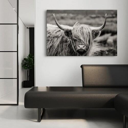 Scottish Highland Catt Cow Yak Animal Poster Wall Art Canvas Paintings Prints Pictures on Canvas for Living Room Home Decorative