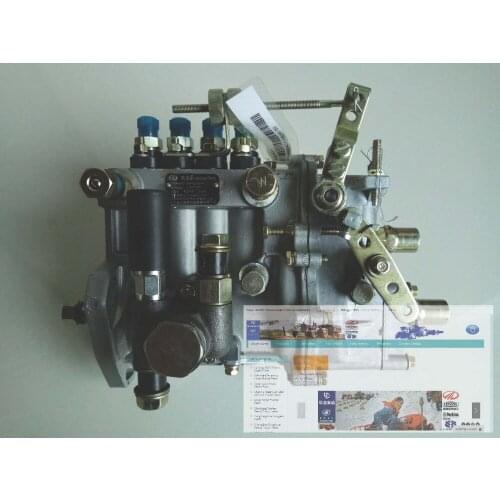 Yangdong YSD490T YSD490D, the high pressure fuel pump assembly, part number