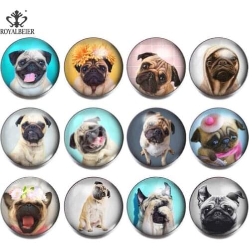 ROYALBEIER 12pcs/lot Mixed Dog Exotic 18mm Glass Snap Button Jewelry Faceted Glass Snap Fit Snap Bracelet Snaps Jewelry kg0070