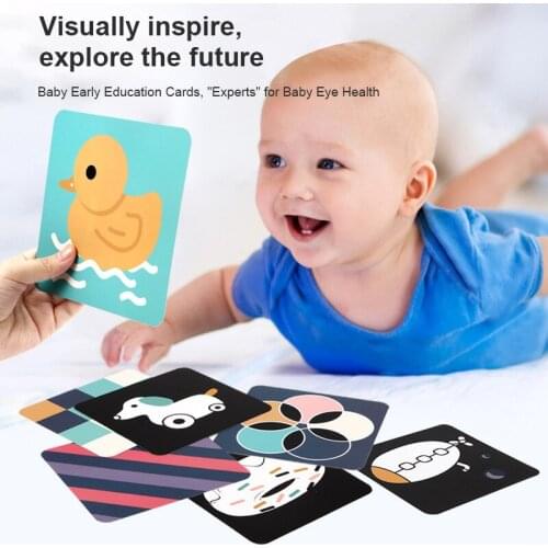Insular Color And Shape Educational Toys