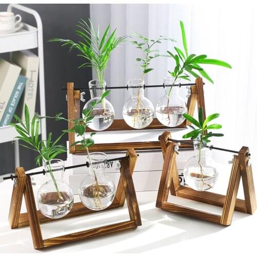 Transparent Glass Hydroponic Vase Decoration Modern Minimalist Hydroponic Plant Glass Container Vase Creative Home Decoration