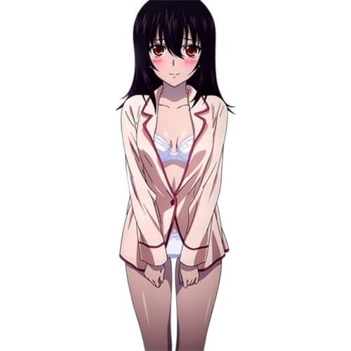 Cute Sticker Anime Strike The Blood Sexy Girl Himeragi Yukina Vinyl Window Fridge Decal Beautiful Graphic