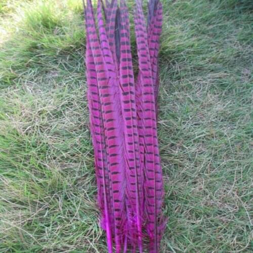 Wholesale 200 pcs beautiful rose Pheasant Feather 16-18 inches 40-45 cm free shipping