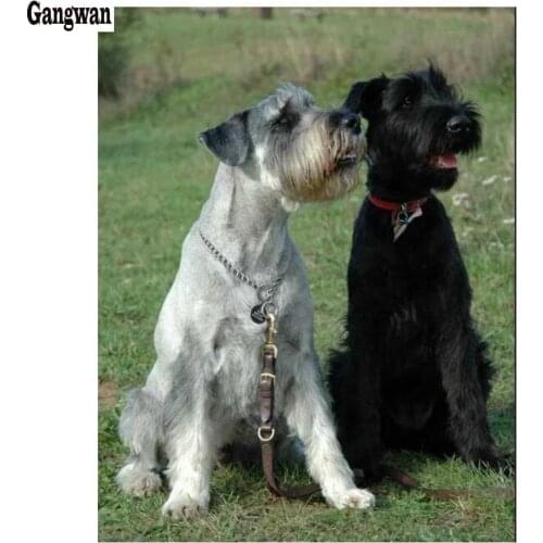 5d Diamond Embroidery,Full,DIY Diamond Painting terrier dog,Cross Stitch,Diamond Mosaic,puppies Picture of Rhinestone,Home Decor